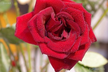 nEO_IMG__DOU1141.jpg