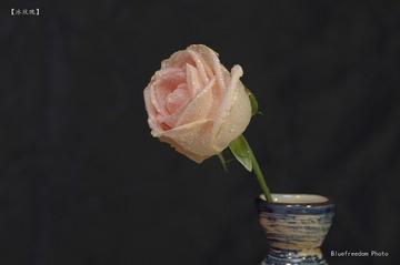 nEO_IMG__DOU1174.jpg
