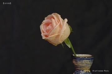 nEO_IMG__DOU1175.jpg
