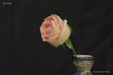 nEO_IMG__DOU1177.jpg