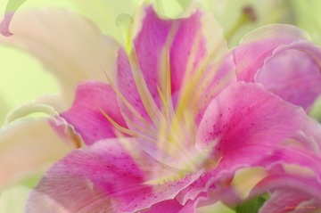 nEO_IMG__DOU0039.jpg
