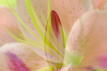nEO_IMG__DOU0041.jpg
