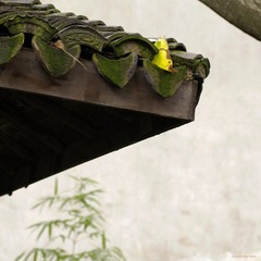 nEO_IMG__DOU0892.jpg