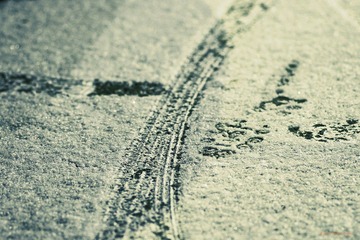 nEO_IMG_IMME0063.jpg