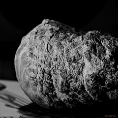 nEO_IMG_IMME0079.jpg