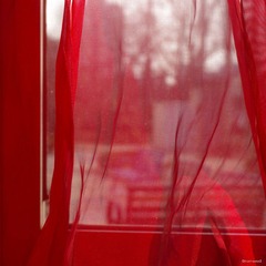 nEO_IMG_IMME0698.jpg