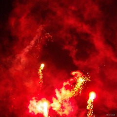 nEO_IMG_A-IMME0730.jpg