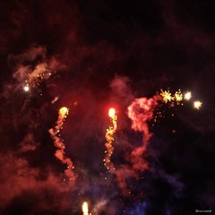nEO_IMG_A-IMME0731.jpg