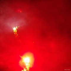 nEO_IMG_A-IMME0736.jpg