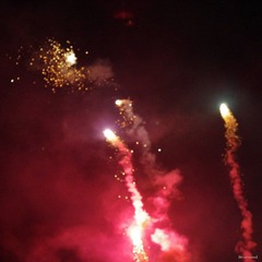 nEO_IMG_A-IMME0737.jpg