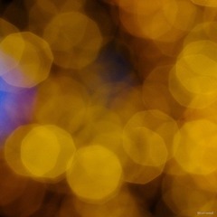 nEO_IMG_IMME1196.jpg