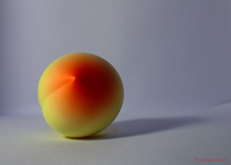 nEO_IMG_IMME0901.jpg