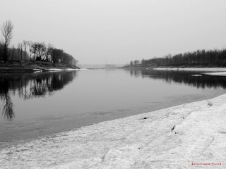 nEO_IMG_IMME1295.jpg