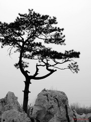nEO_IMG_IMME1302.jpg