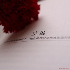 nEO_IMG_IMME1348.jpg