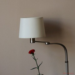 nEO_IMG_IMME1352.jpg