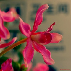 nEO_IMG_北京南站 (12).jpg