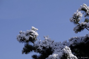 nEO_IMG__DOU3367.jpg