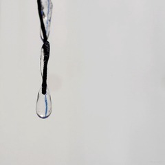 nEO_IMG_IMME2287.jpg