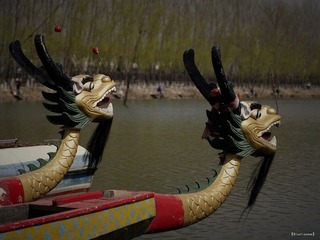 nEO_IMG__DOU3516.jpg