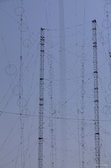 nEO_IMG__DOU3514.jpg