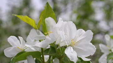 nEO_IMG_IMME2687.jpg