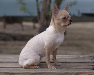 nEO_IMG__DOU3708.jpg