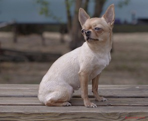nEO_IMG__DOU3709.jpg