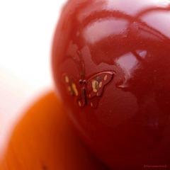 nEO_IMG_IMME2472.jpg