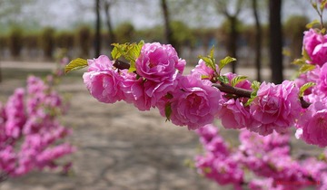 nEO_IMG_IMME2550.jpg