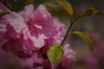 nEO_IMG_IMME2561.jpg