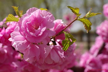 nEO_IMG_IMME2569.jpg