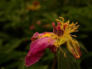nEO_IMG_IMME3965.jpg