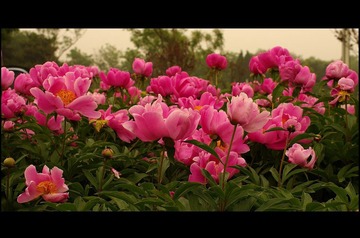 nEO_IMG_IMME3967.jpg