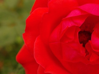 nEO_IMG_IMME3982.jpg