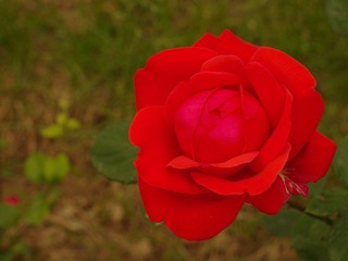 nEO_IMG_IMME3983.jpg