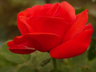nEO_IMG_IMME3984.jpg