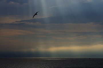 nEO_IMG_烟台的海边 (15).jpg