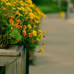 nEO_IMG__DOU5596.jpg