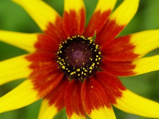 nEO_IMG__DOU5545.jpg