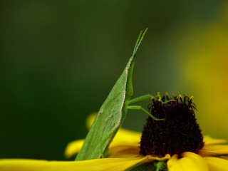nEO_IMG__DOU5554.jpg