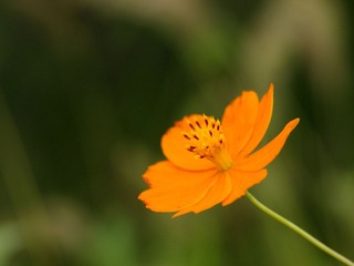 nEO_IMG__DOU5564.jpg