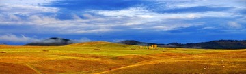 nEO_IMG_IMME8966.jpg