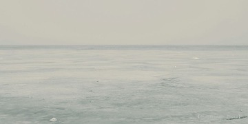 nEO_IMG_衡水湖之雾 (16).jpg