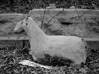 nEO_IMG_IMGP2802.jpg