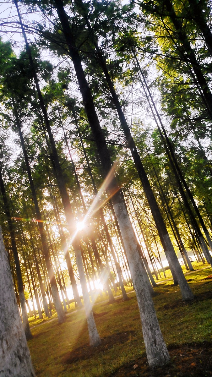 万物皆有裂缝那是光照进来的地方