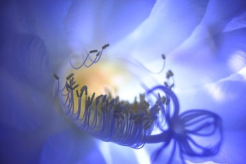DPP_00041.JPG