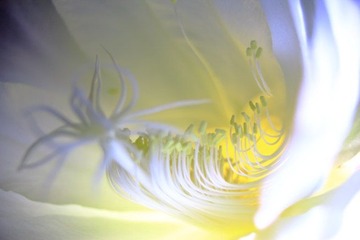 DPP_00040.JPG