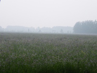 DSCF4122.JPG