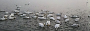 2012-01-09_13-53-51_521.jpg